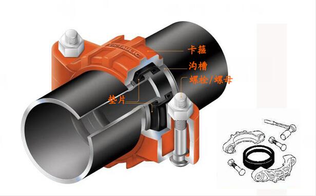 蜜柚APPIOS沟槽蜜柚视频污