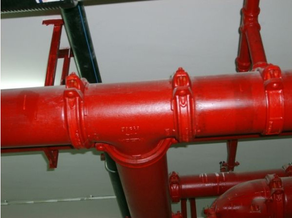 316L沟槽式蜜柚视频污