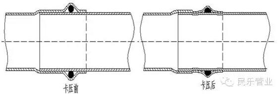 蜜柚官网在线下载蜜柚APPIOS