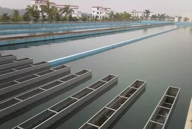 蜜柚官网在线下载蜜柚APPIOS