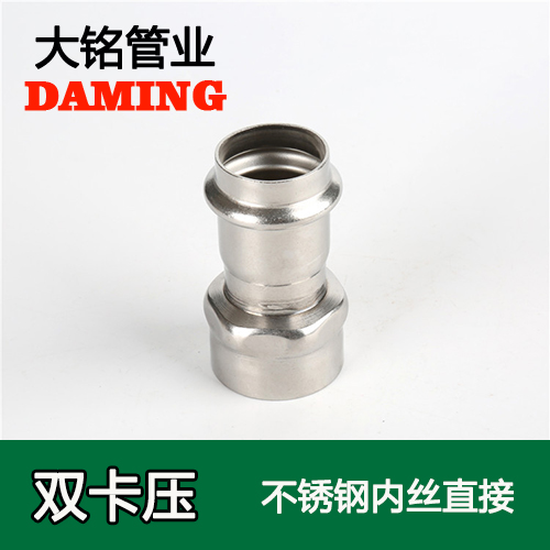 DN50*1/2 蜜柚APPIOS内丝转换直通四分接头（304 316L）