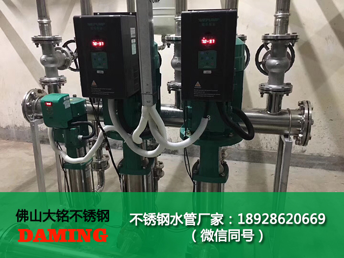 蜜柚官网在线下载蜜柚APPIOS