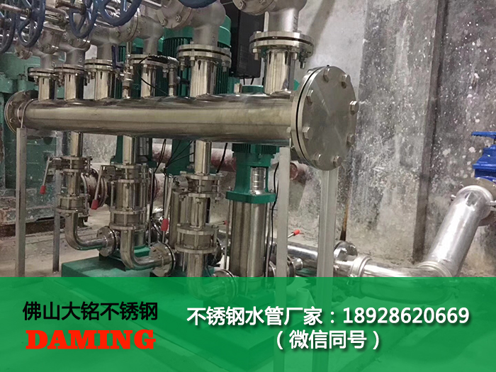 蜜柚官网在线下载蜜柚APPIOS