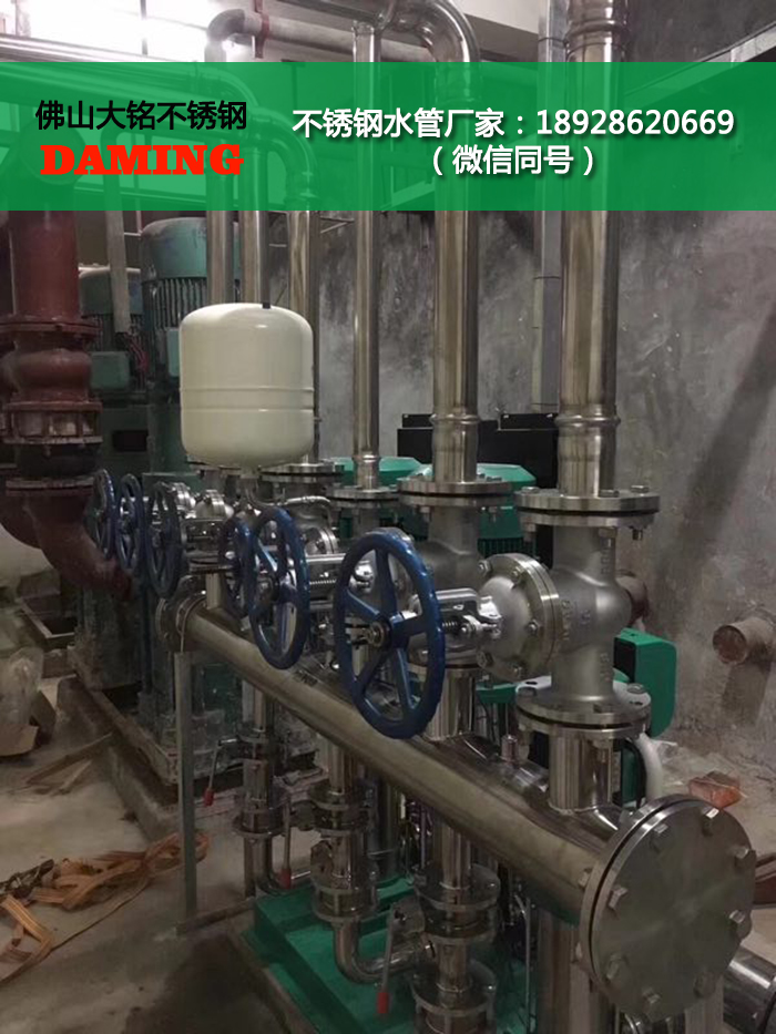 蜜柚官网在线下载蜜柚APPIOS