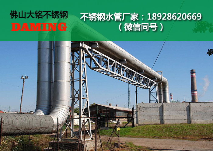 蜜柚官网在线下载蜜柚APPIOS