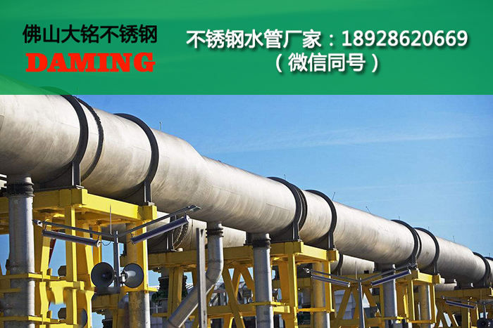 蜜柚官网在线下载蜜柚APPIOS