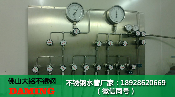 蜜柚官网在线下载蜜柚APPIOS