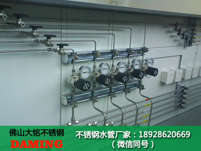 蜜柚官网在线下载蜜柚APPIOS