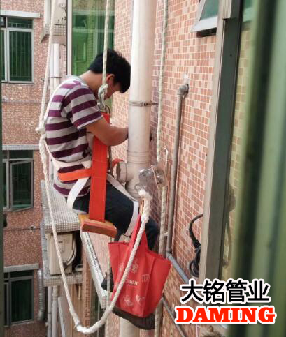 蜜柚官网在线下载蜜柚APPIOS