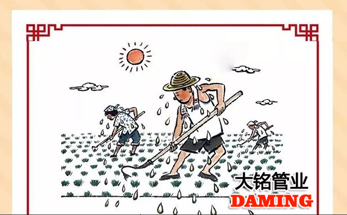 蜜柚官网在线下载蜜柚APPIOS