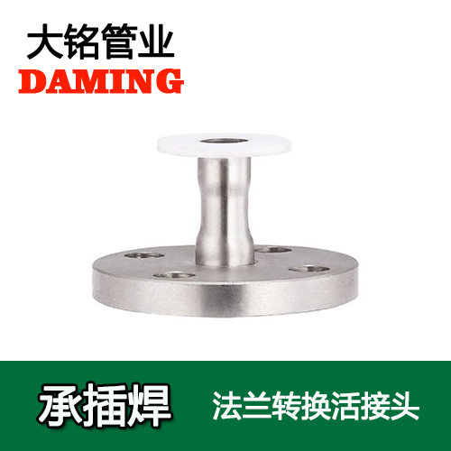 DN15 承插焊接式蜜柚APPIOS法兰转换直接头（304 316L）