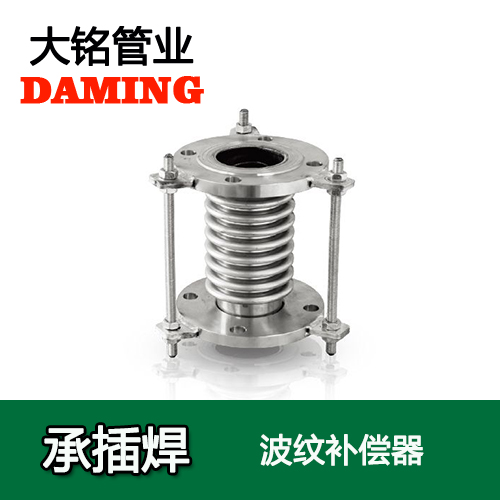 DN15 法兰式蜜柚APPIOS波纹补偿器（304 316L）