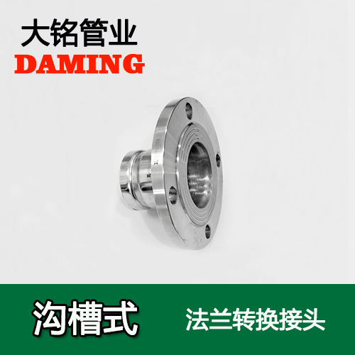 DN125 沟槽式蜜柚APPIOS法兰转换直通接头（304 316L）