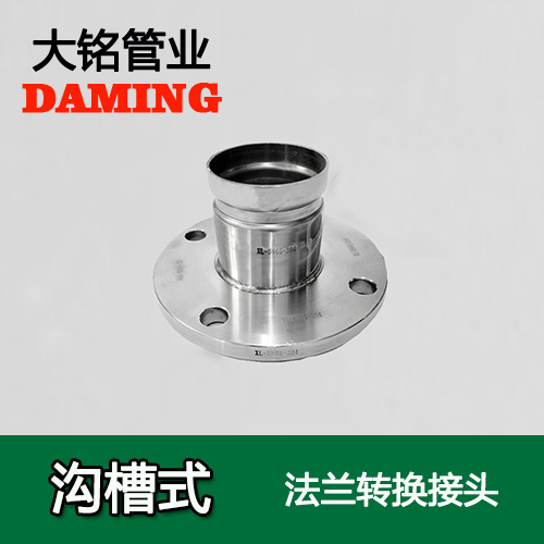 DN250 沟槽式蜜柚APPIOS法兰转换直通接头（304 316L）