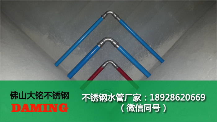 广东省蜜柚APPIOS水管厂家