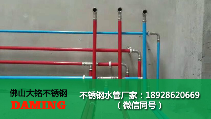 湘西蜜柚APPIOS水管厂家