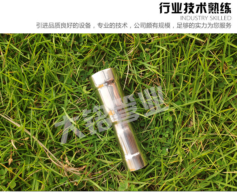 316L蜜柚APPIOS大小头