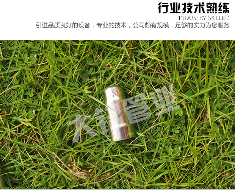 蜜柚APPIOS水管堵头