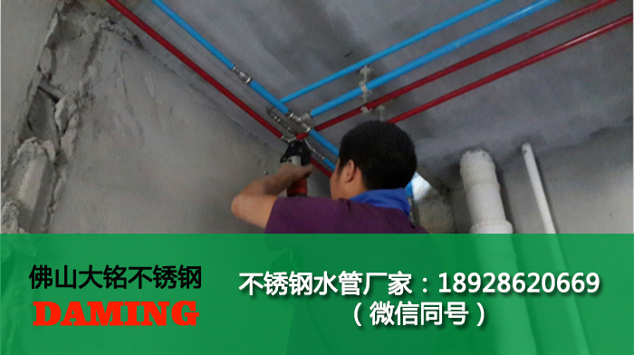 南通蜜柚APPIOS水管代理加盟