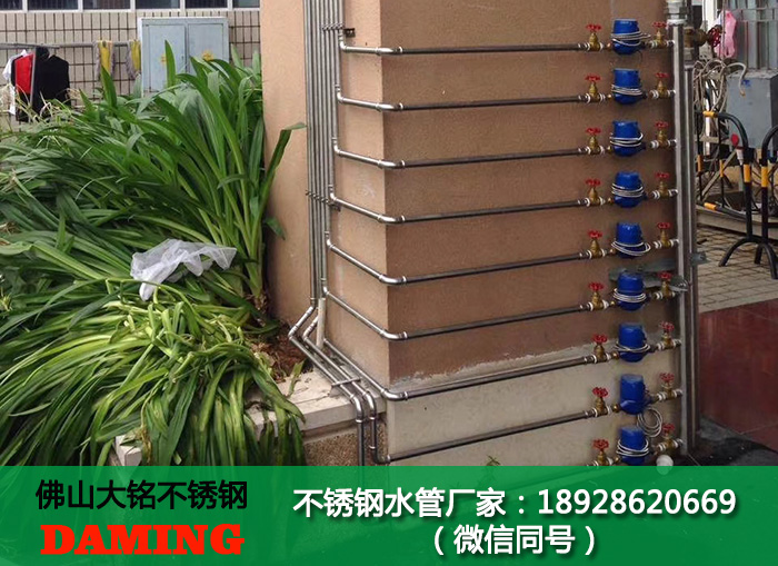 304蜜柚APPIOS分水器