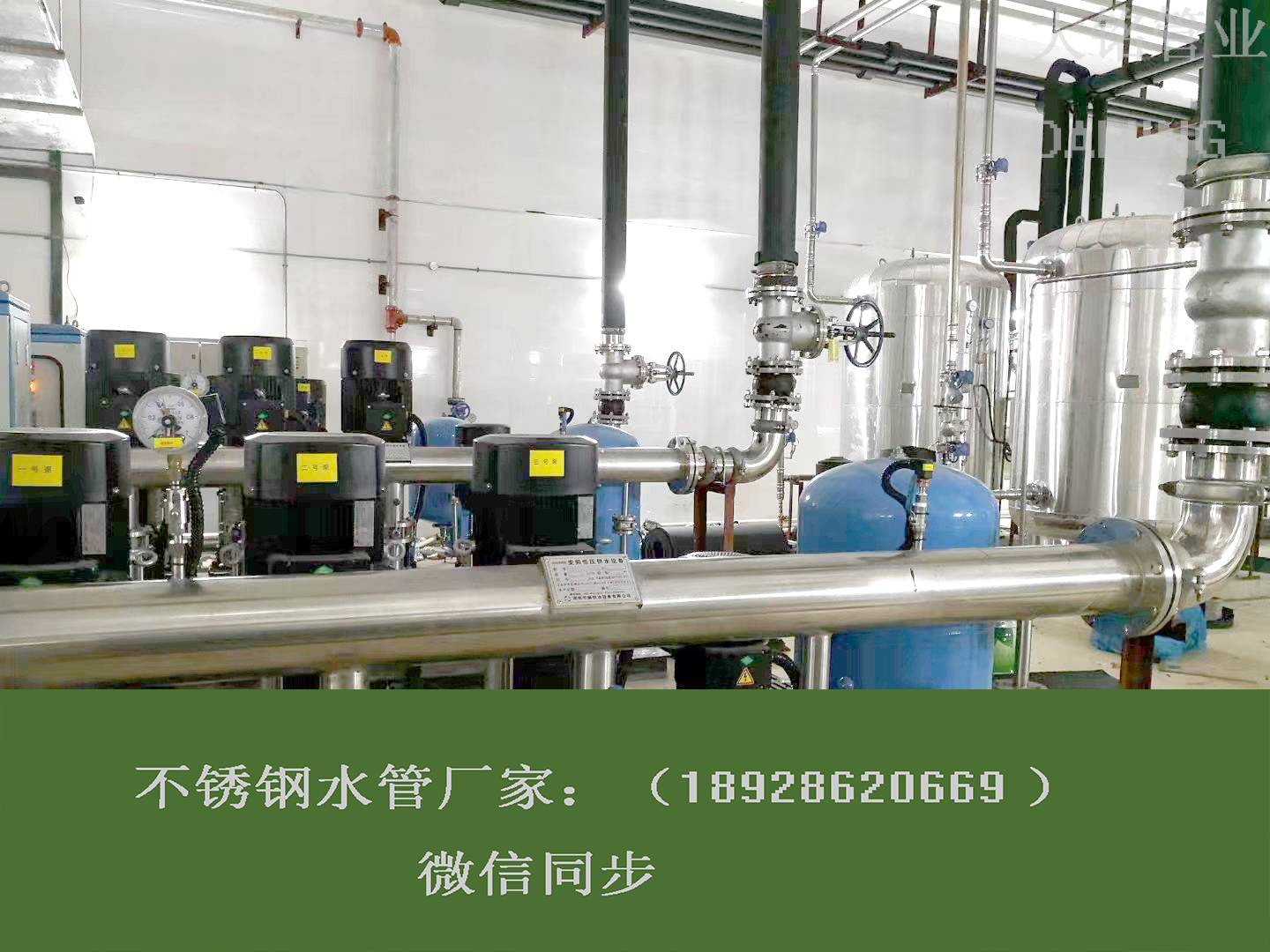 广东环压蜜柚APPIOS蜜柚视频污