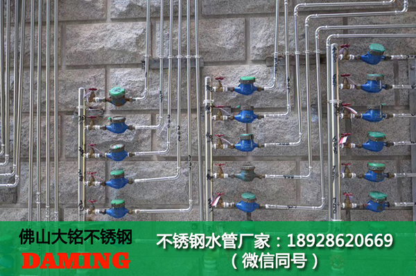 A型90°弯头蜜柚APPIOS蜜柚视频污