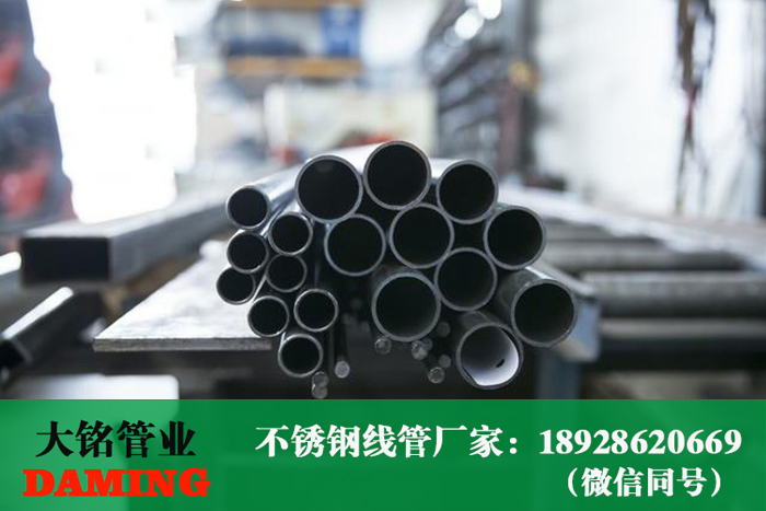 316L卫生级蜜柚APPIOS水管