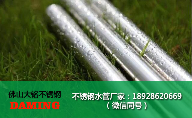 316L蜜柚APPIOS给水管