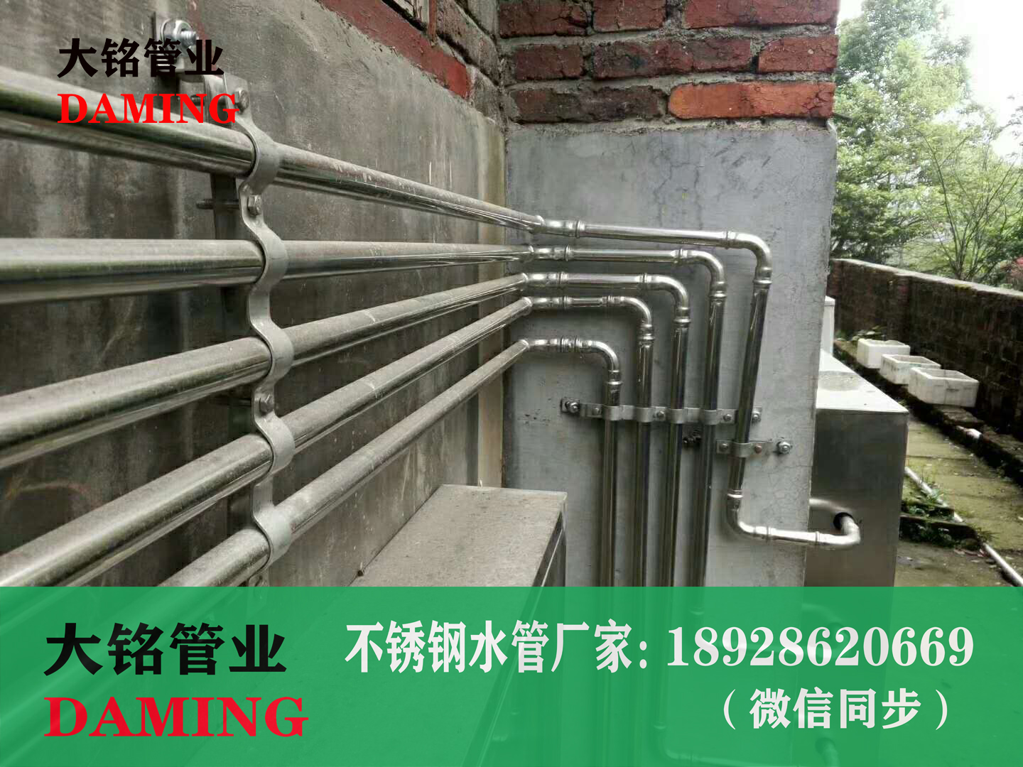 蜜柚APPIOS管托蜜柚视频污