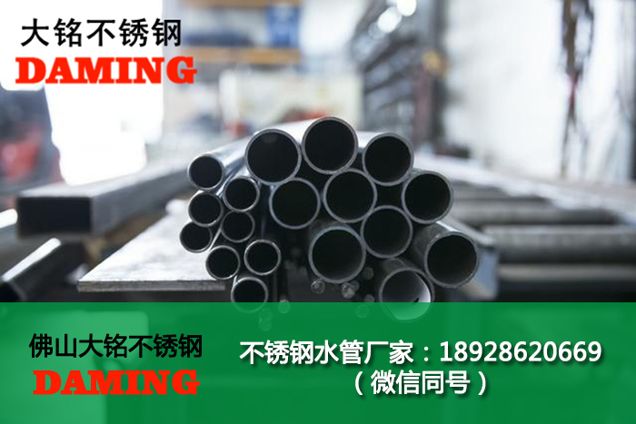 蜜柚APPIOS双卡压蜜柚视频污