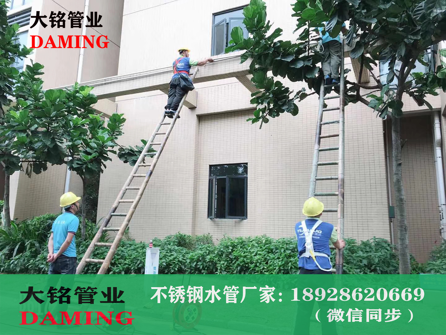 蜜柚APPIOS环压式短管直通