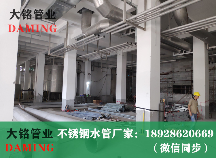 316L蜜柚APPIOS焊接管