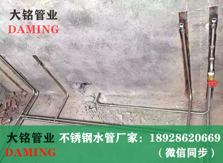 蜜柚APPIOS卡压式蜜柚视频污