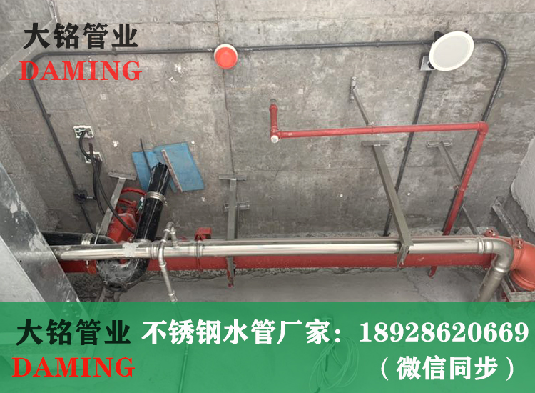 316L蜜柚APPIOS卡压管