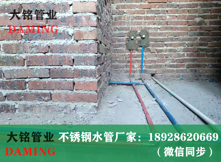 316L薄壁蜜柚APPIOS水管