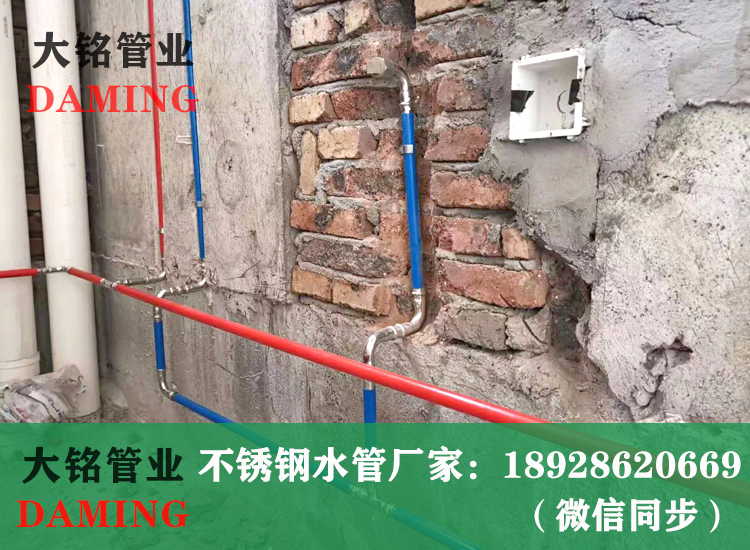 316PE覆塑蜜柚APPIOS管