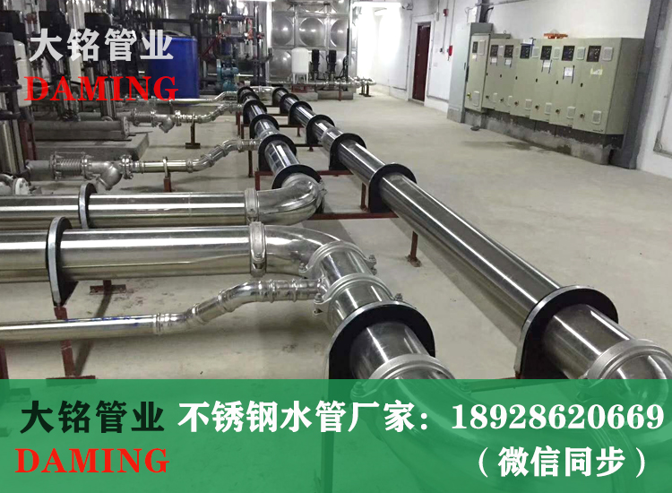 316L沟槽式蜜柚APPIOS蜜柚视频污