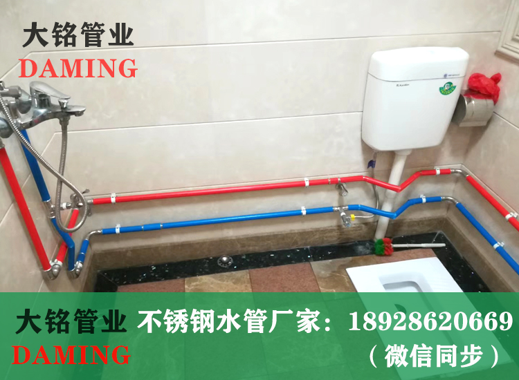 316PE覆塑蜜柚APPIOS管