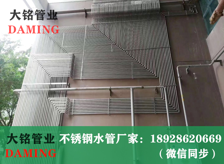 316L蜜柚APPIOS供水管