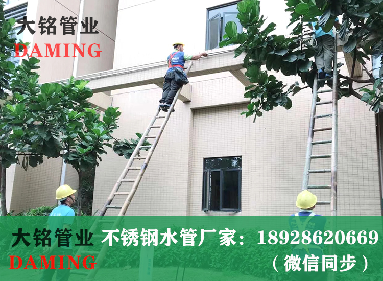 薄壁蜜柚APPIOS给水管