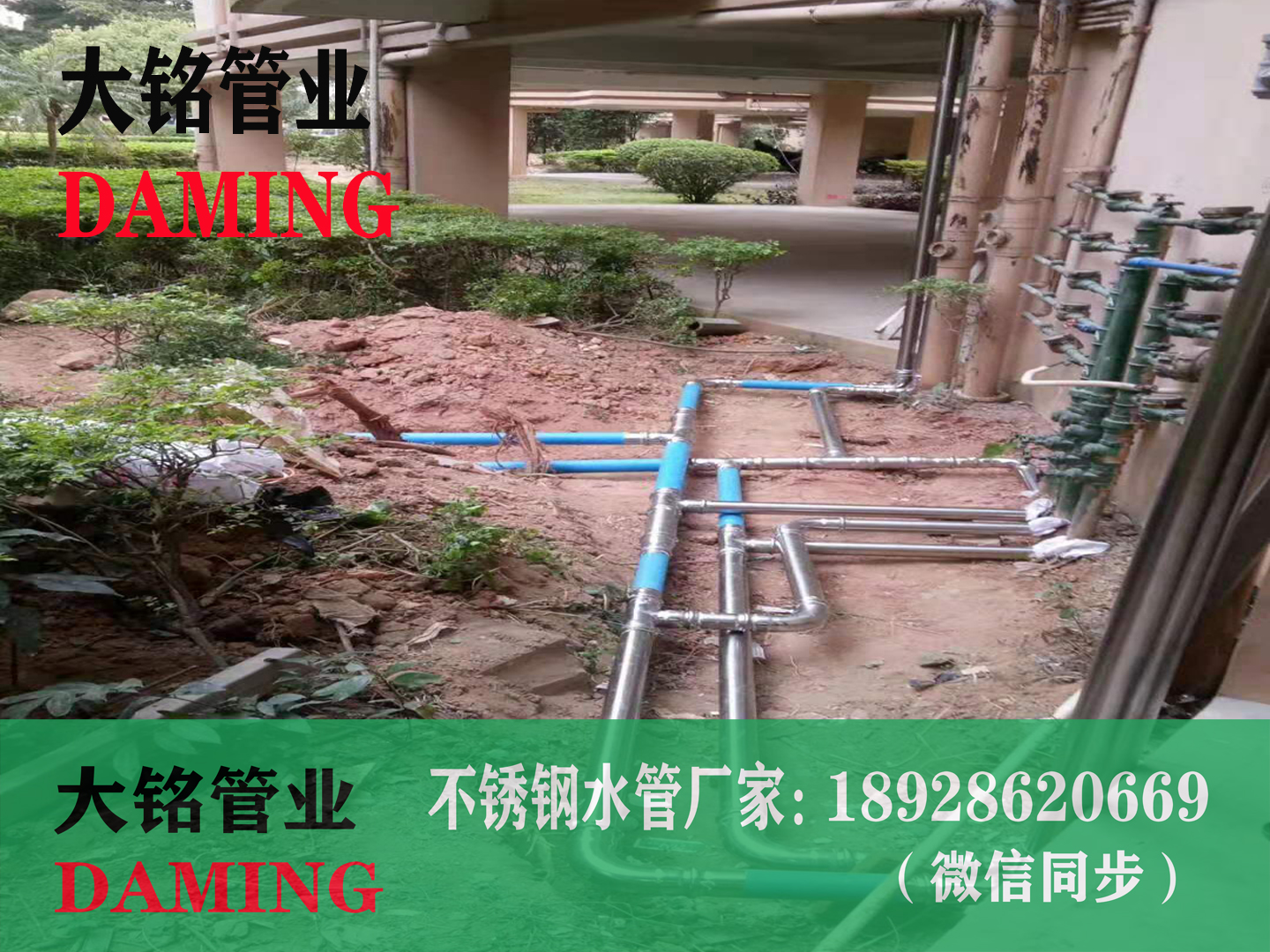 DN50*15蜜柚APPIOS90°异径弯头]