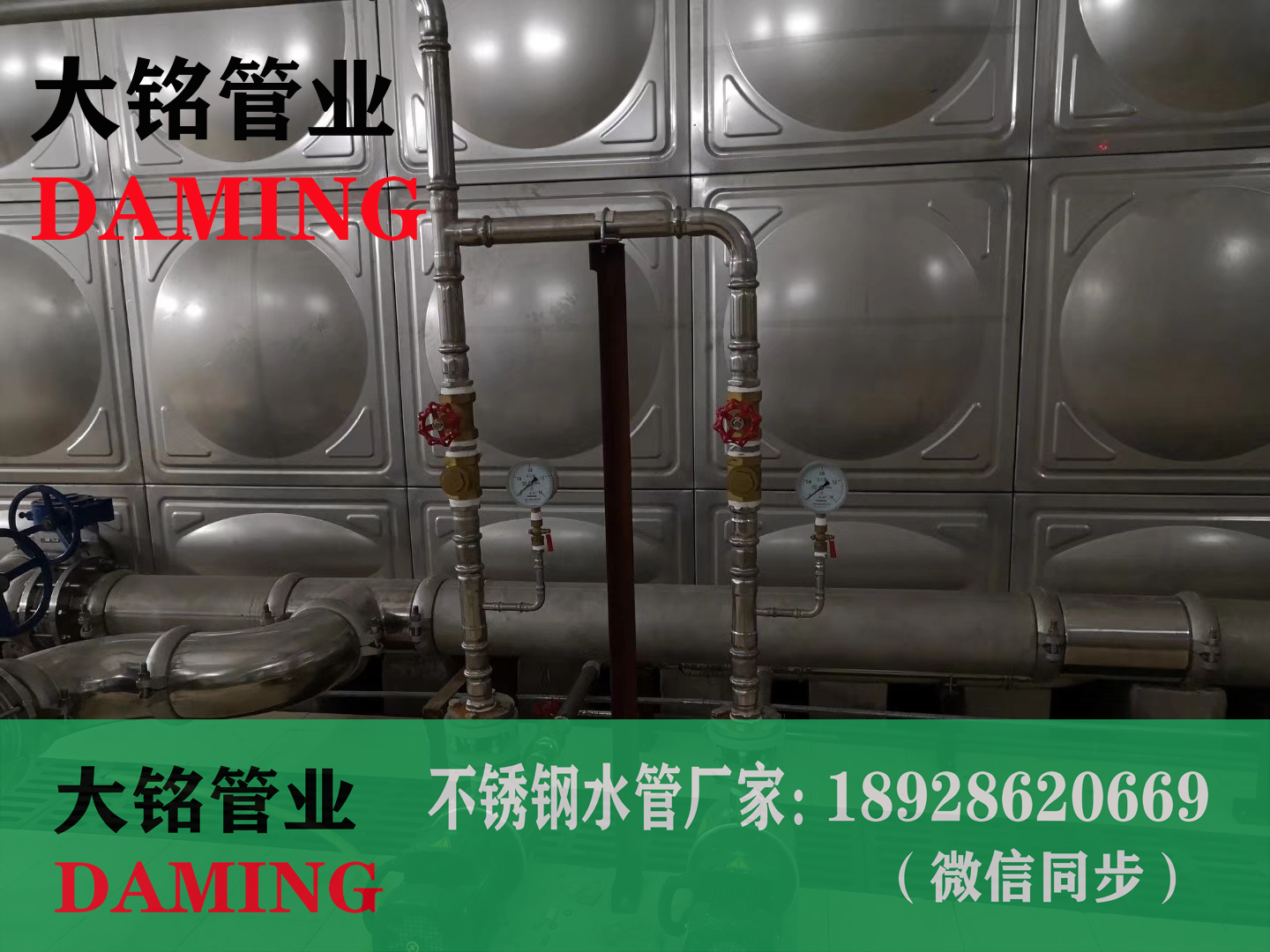 双卡压蜜柚APPIOS外丝直接接头