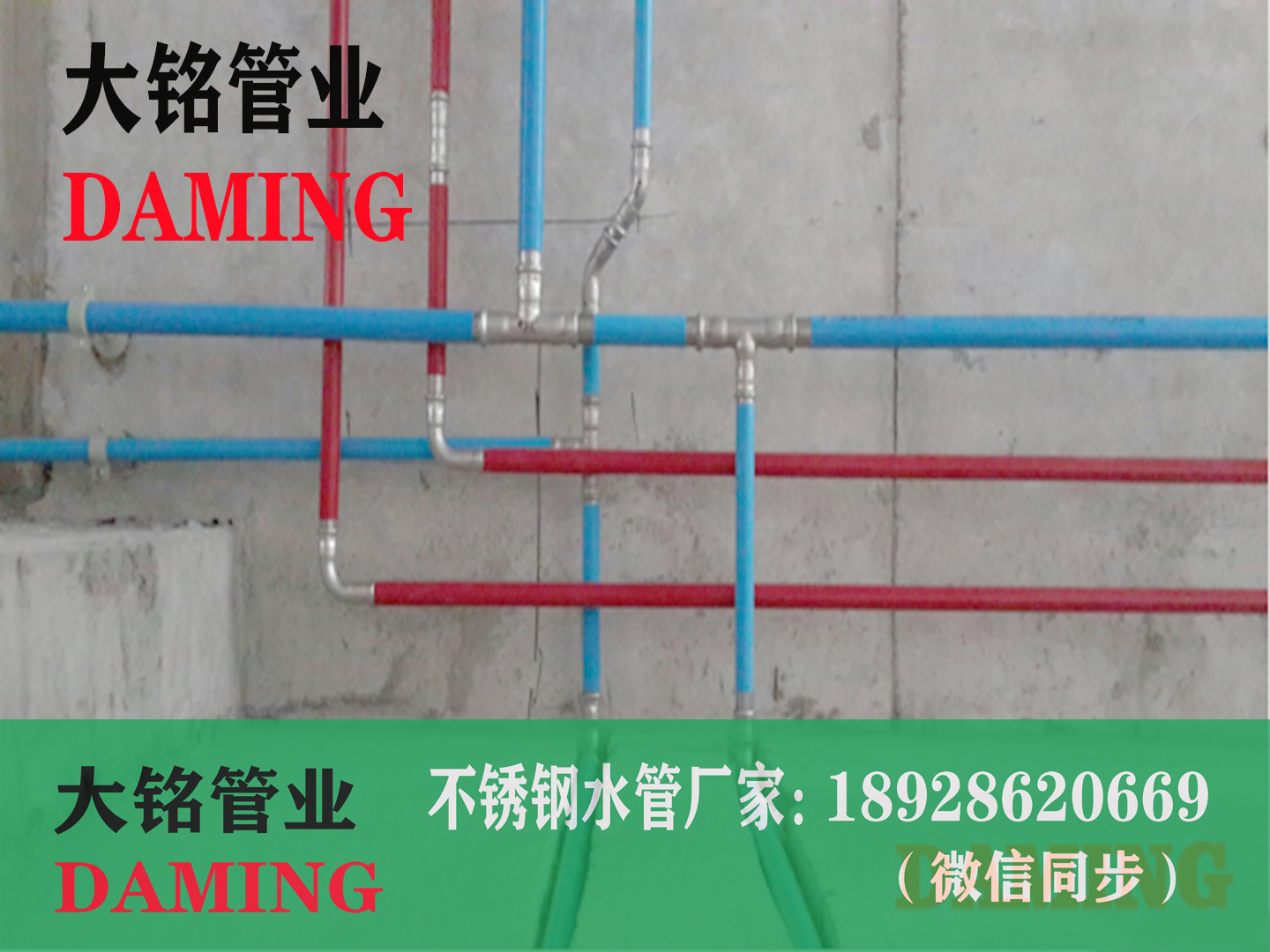 双卡压蜜柚APPIOS蜜柚视频污