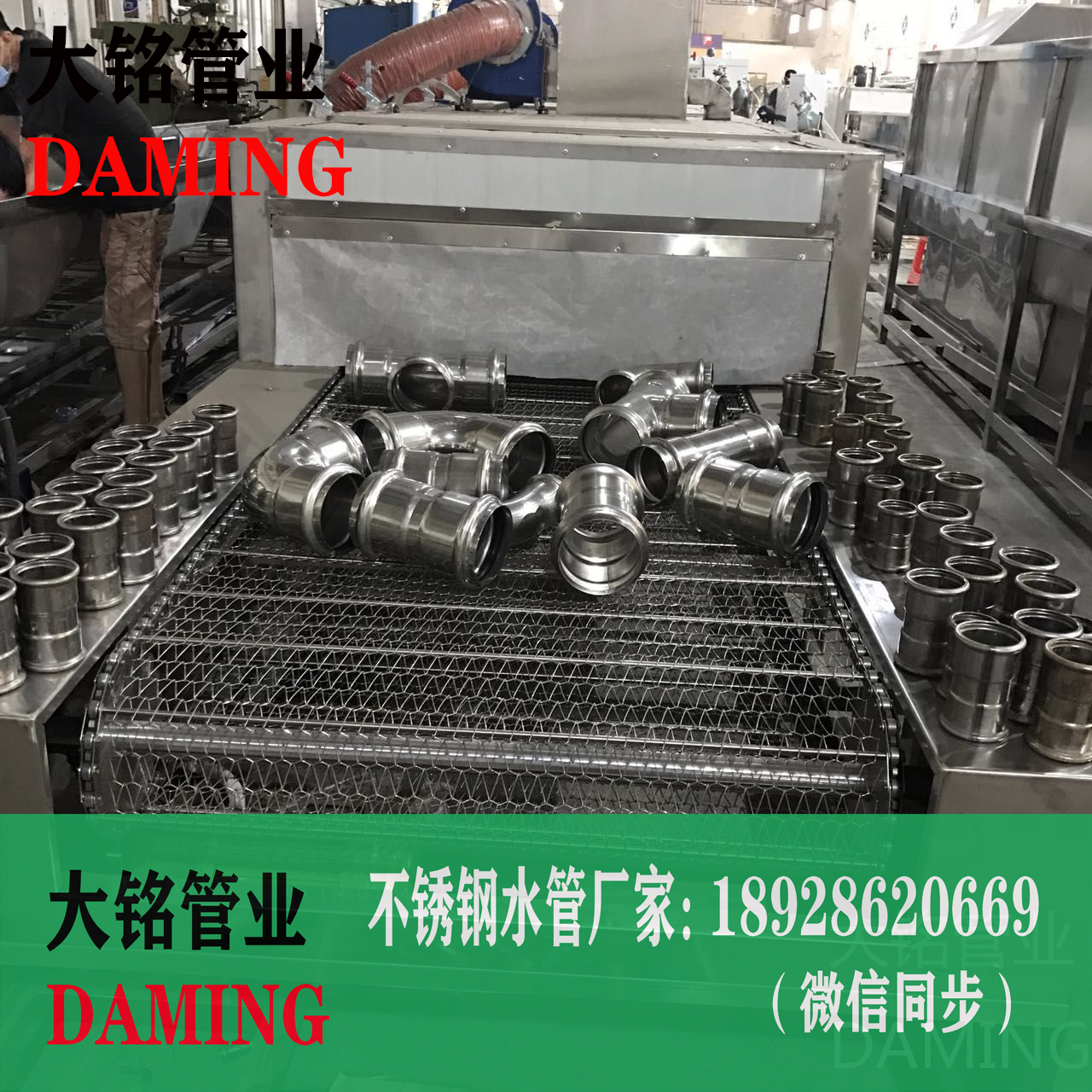 304蜜柚APPIOS双卡压蜜柚视频污