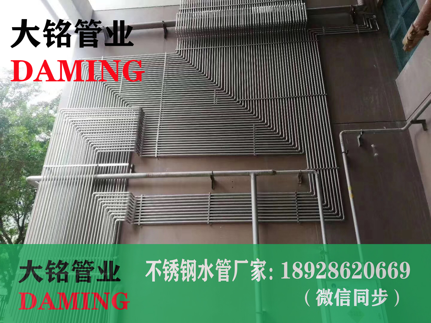 蜜柚APPIOS薄壁管