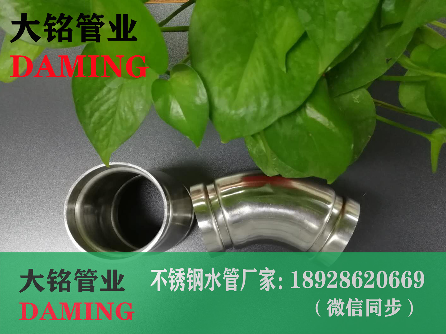 蜜柚APPIOS沟槽蜜柚视频污