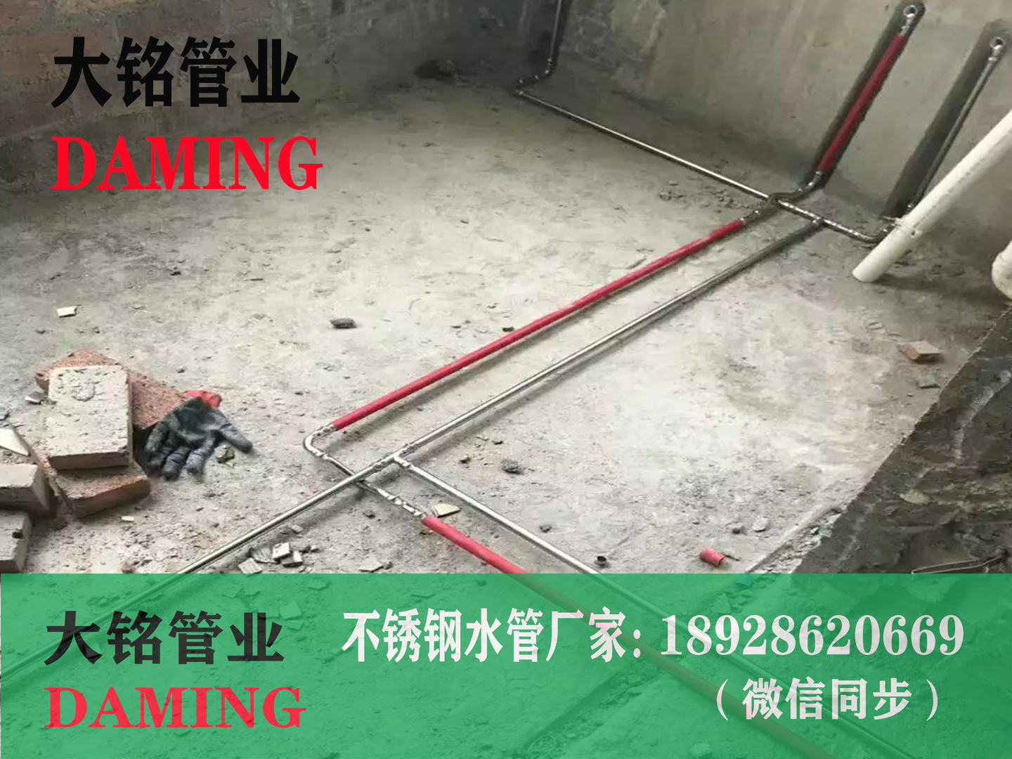 广东双卡压蜜柚视频污