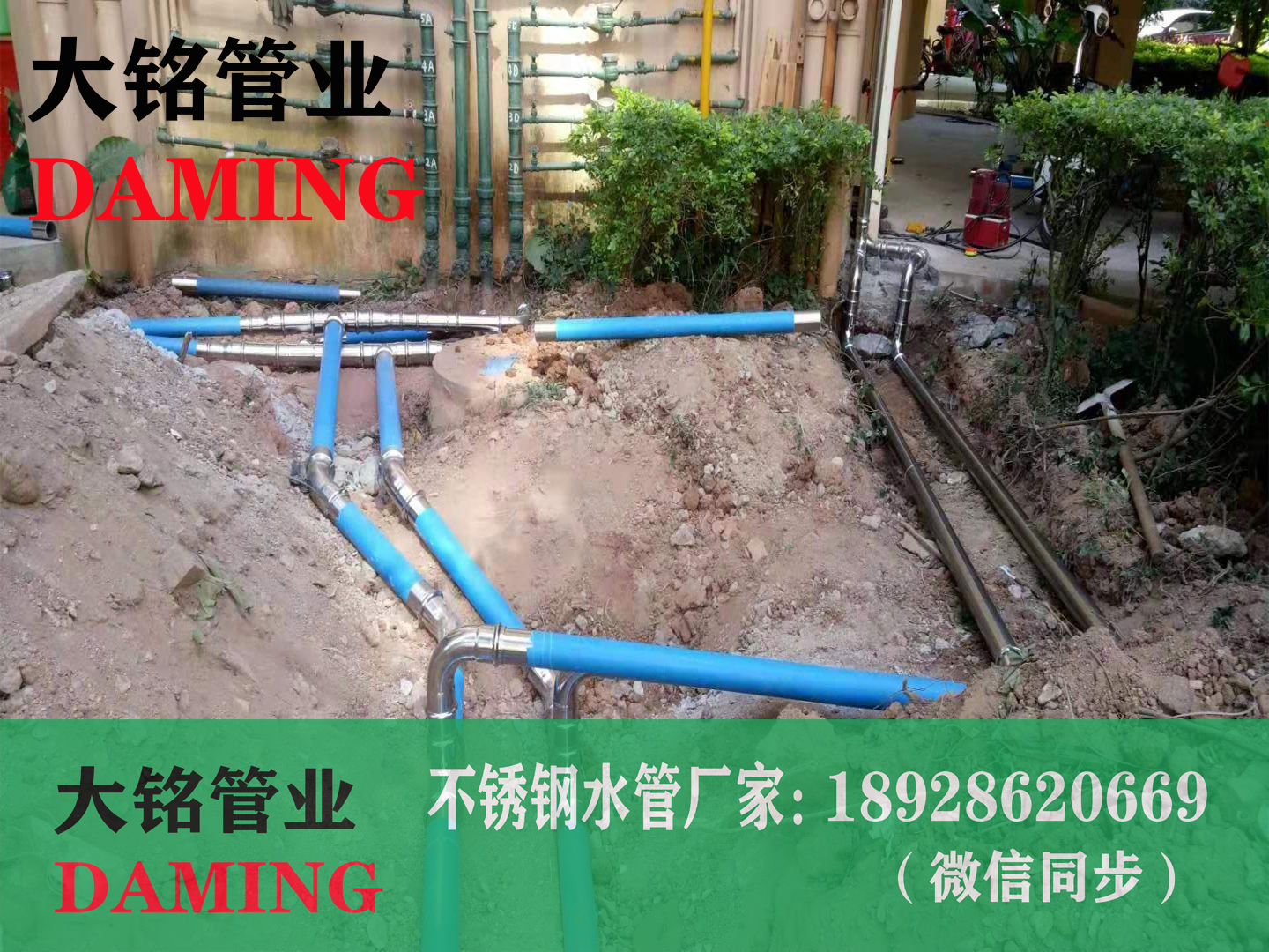 蜜柚APPIOS卡压弯头