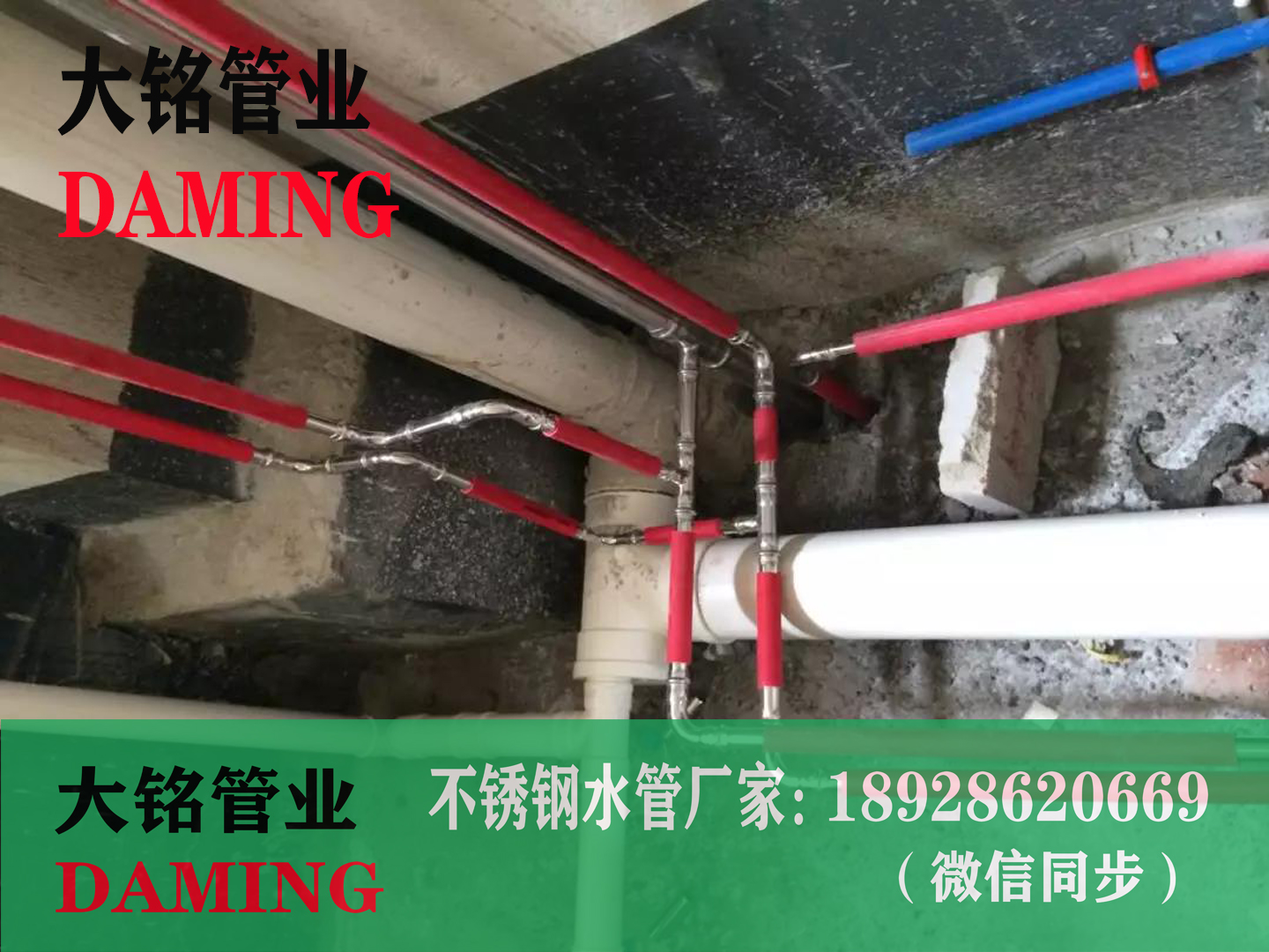 304蜜柚APPIOS双卡压蜜柚视频污