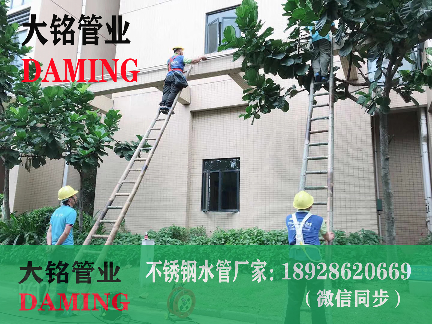 316L蜜柚APPIOS水管